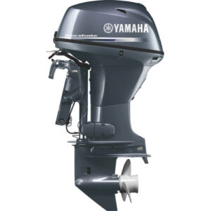 Outboard Motor Buying Guide: Two-Stroke vs. Four-Stroke Engine